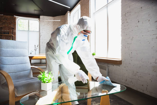 Why You Should Choose Our Mold Remediation Services in Great Bend, NY