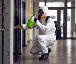 Asbestos and Lead Testing During Mold Inspection in Great Bend, NY